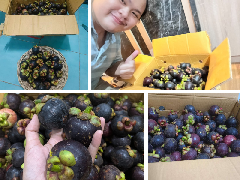 ภาพรวมกิจกรรมส่งผลไม้ให้แก่พนักงาน บริษัท เอ็ม.ดี.ซอฟต์ 