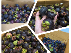 ผลไม้เต็มลัง ที่ส่งให้กับพนักงาน 