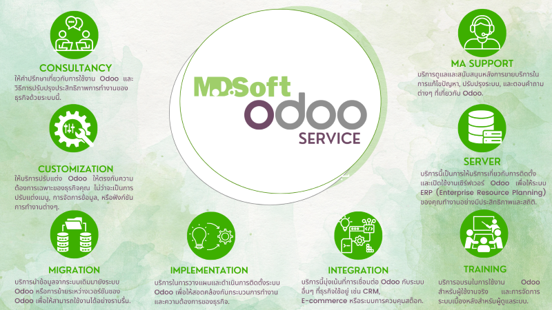  บริการ MDSoft Odoo Sevice
