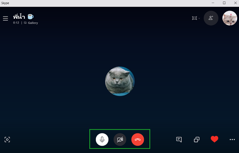 ตัวอย่างการคอล Skype